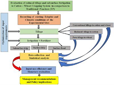 Reduced tillage and subsurface fertigation improve productivity and economic benefits in the cotton-wheat cropping system